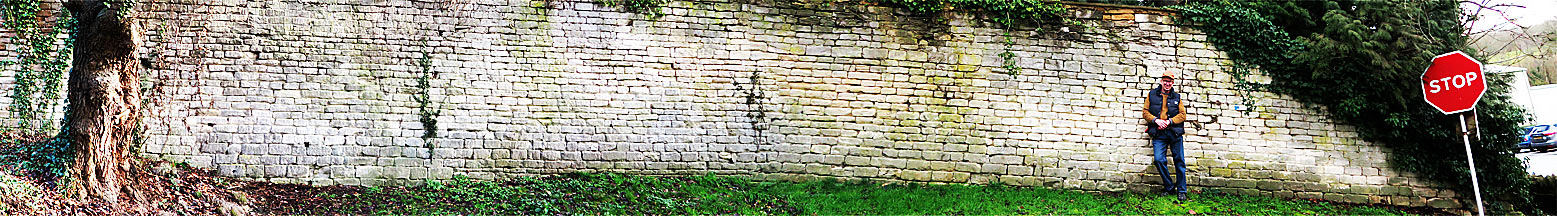 Panorama of Peter Griffin by a wall